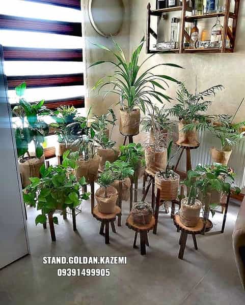 عکس کالای چوب کاظمی در احمد اباد شیراز