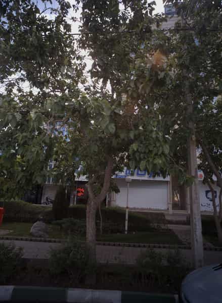 عکس داروخانه در سرافرازان مشهد