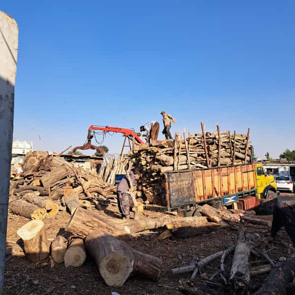 عکس با چوب(چوب بری شفیعی ) در شهید کاظمی تهران