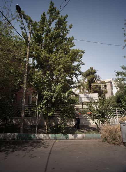 عکس مجتمع آموزشی توانبخشی تعاونی تولیدی دختران و پسران در سنایی تهران