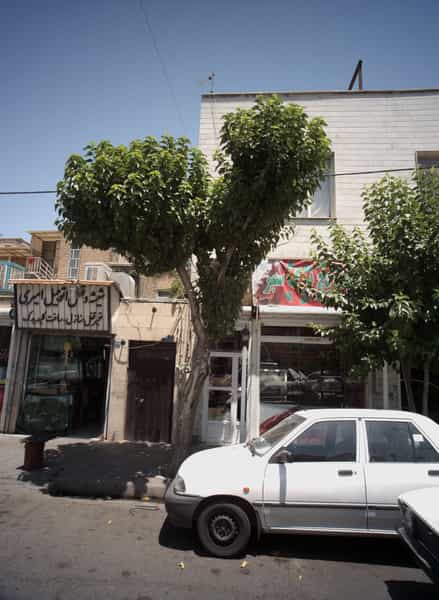 عکس ساندویچ برگ سبز در مظاهری تهران