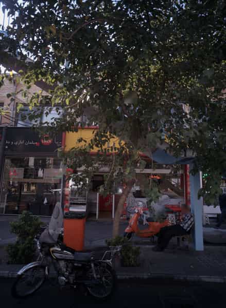 عکس نانی برگر در شیخ هادی تهران