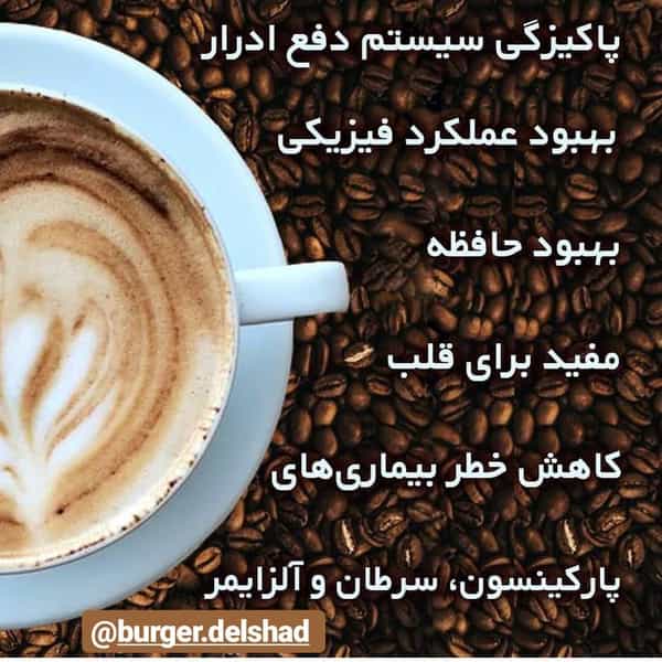 عکس برگر دلشاد در فیروزآبادی تهران