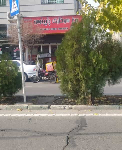 عکس مرغ سوخاری و پیتزا پاپینوس در اسلام آباد تهران