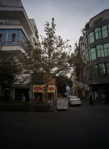 عکس ساندویچی هفت چنار در دانشگاه تهران تهران