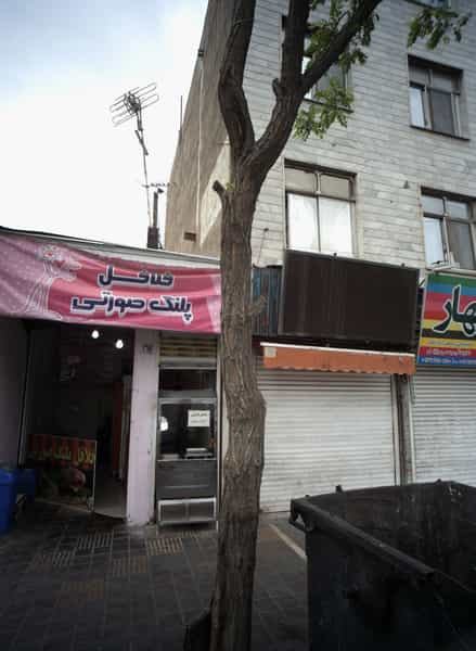 عکس فلافل پلنگ صورتی در مشیریه تهران