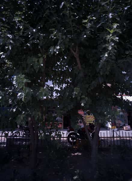 عکس فست فود در نجات اللهی تهران