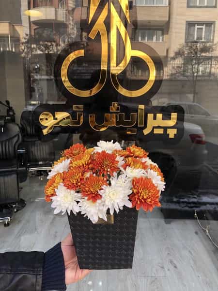 عکس پیرایش تمو در ولیعصر جنوبی تبریز