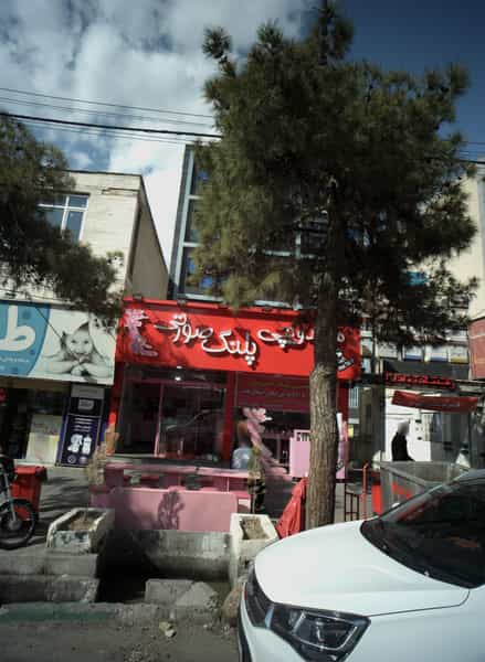عکس ساندویچی پلنگ صورتی در تهرانپارس غربی تهران