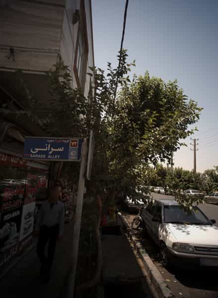 عکس پیتزا گلها در بهداشت تهران
