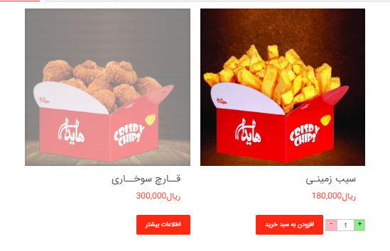 عکس ساندویچ هایدا هروی در حسین آباد تهران