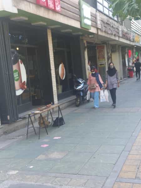 عکس کلانا در دانشگاه تهران تهران