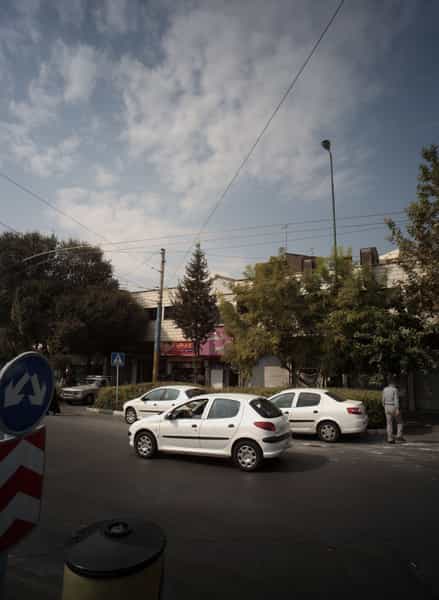 عکس مرغ بریانی گل یاس در کوثر تهران