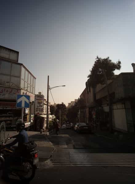 عکس کاکتوس در امانیه تهران