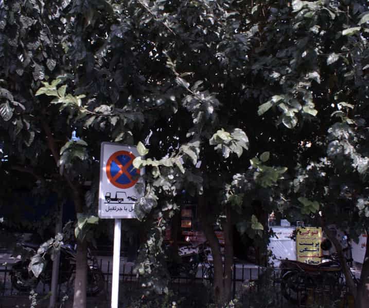 عکس فست فود در نجات اللهی تهران