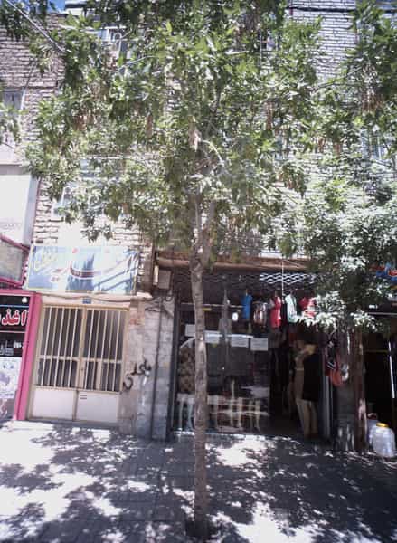 عکس فروشگاه پوشاک در شهید قربانی مشهد