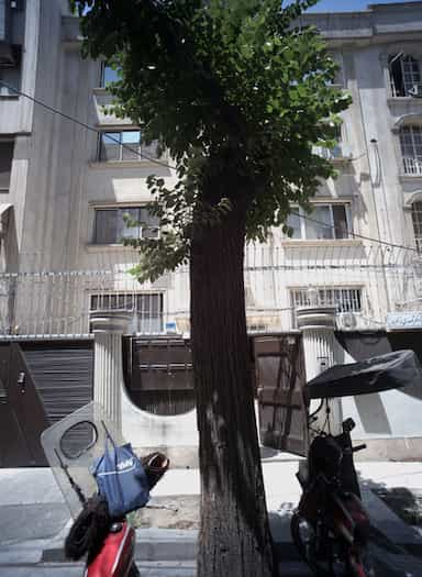 دکتر مهدی زاده در ایرانشهر تهران