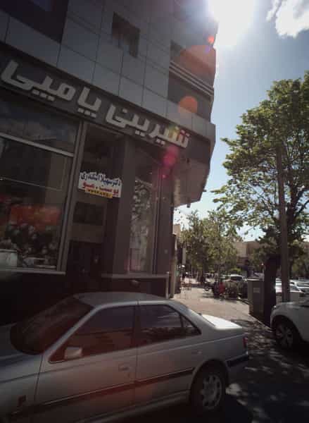 عکس دکتر سهیلا اسکندری در مدائن تهران