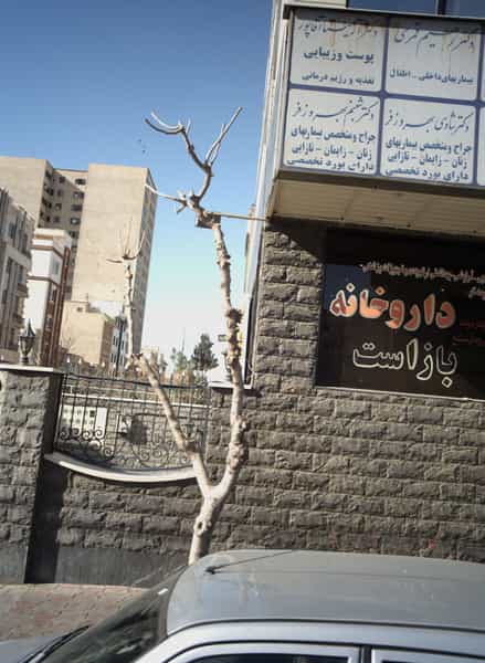 عکس دکتر شبنم بهروز فر در پاتریس لومومبا تهران