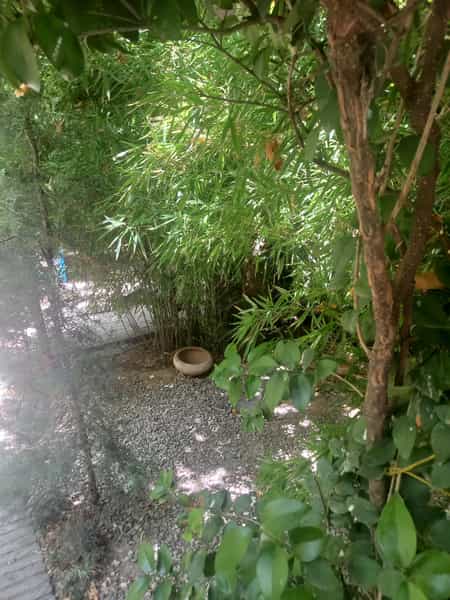 عکس کافه رستوران چای بار در حکمت تهران