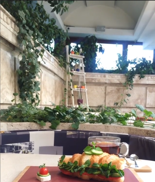 عکس رستوران گریل گاردن در گاندی تهران