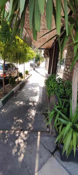 عکس رستوران ایتالیایی سالی شعبه ستارخان در توحید تهران