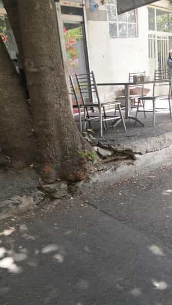 عکس کبابی دهکده در اوین تهران