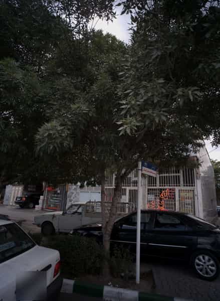 عکس کله پزی در شیرودی مشهد
