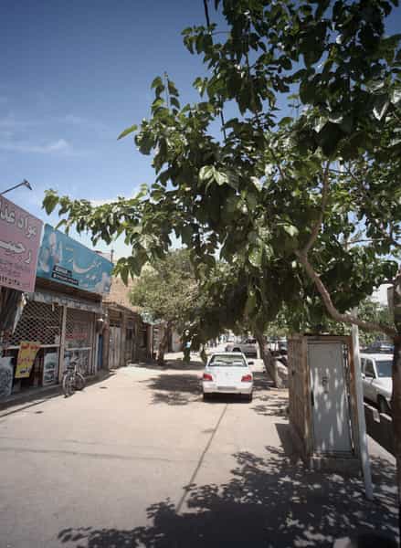 عکس اغذیه بهار در موعود مشهد