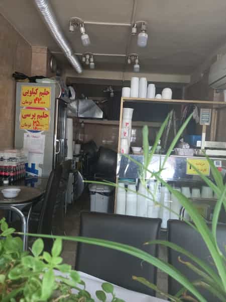 عکس حلیم حاجی طوسی در دریادل مشهد