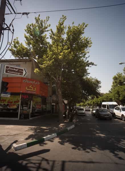 عکس کبابسرای تک در احمدآباد مشهد