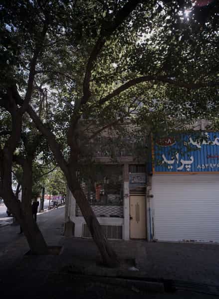 عکس طباخی سحر در امام رضا مشهد