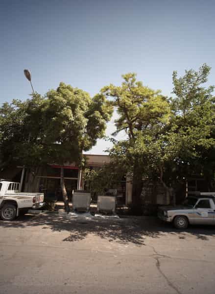 عکس طباخی در عامل مشهد