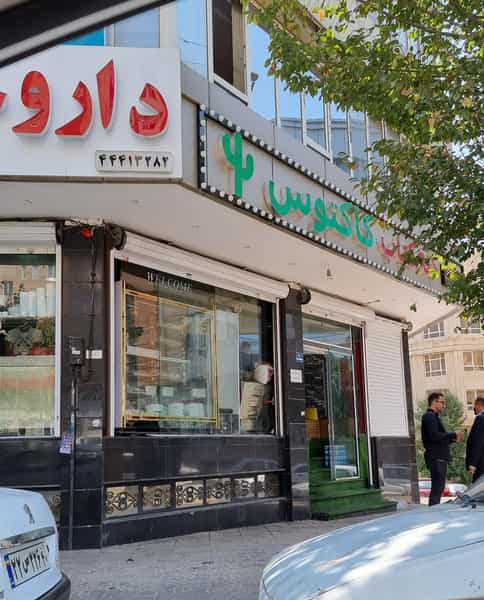 عکس کته کباب کاکتوس در جنت آباد مرکزی 