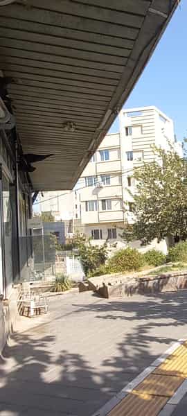 عکس ساندويچ. سیب زمینی. چیپس در رضاشهر مشهد