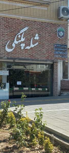 عکس شله پلنگی در رضاشهر مشهد