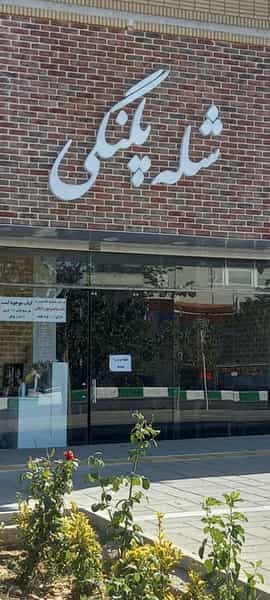 عکس شله پلنگی در رضاشهر مشهد