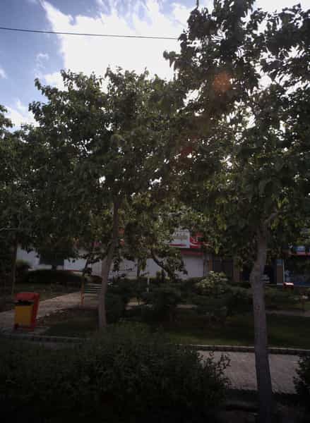 عکس طباخی در سرافرازان مشهد
