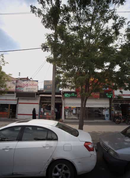 عکس ساندویچ سید و پسران در کشاورز مشهد