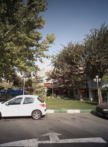 عکس پلو کباب جوانان در کاج 