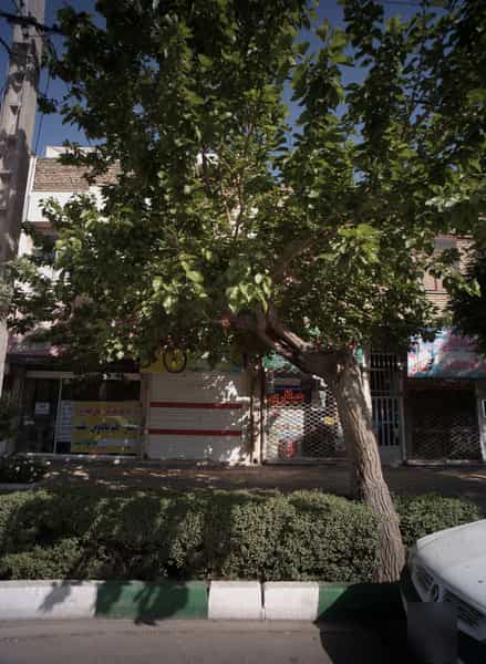 عکس موبایل ولیعصر در رسالت 