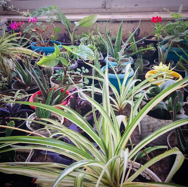 عکس خوابگاه مهر در راه آهن مشهد