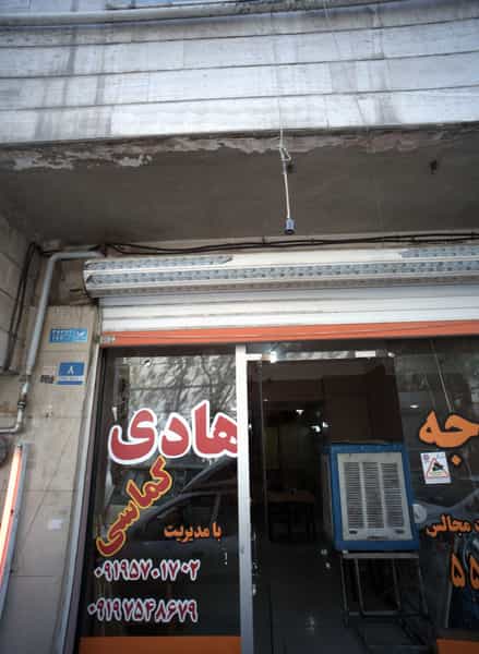 عکس جوجه هادی در خزانه تهران