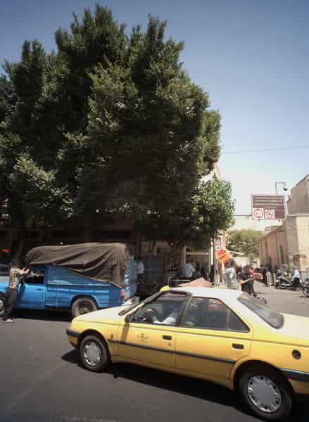 عکس ساندویچ ساحل در بازار تهران