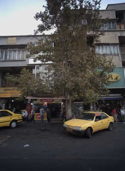 عکس فلافلی در دانشگاه تهران تهران