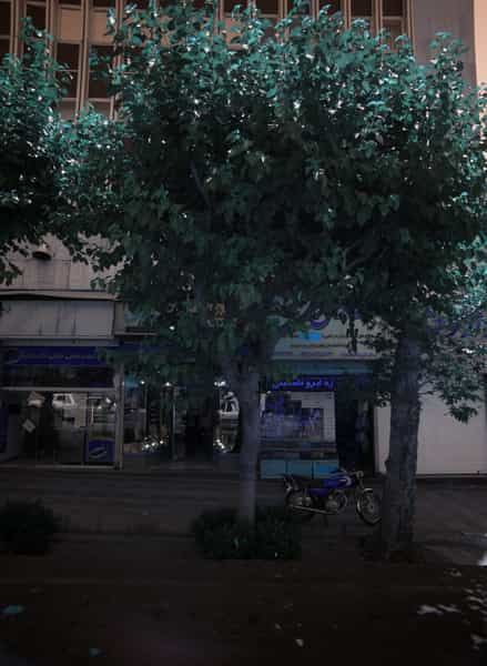 عکس کباب سنتی زغالی تک بناب در دانشگاه تهران تهران