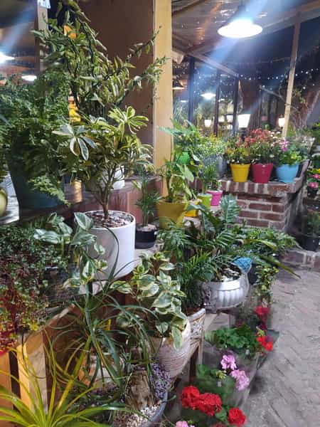 عکس کافه رستوران هومانو شهر کتاب در داوودیه 