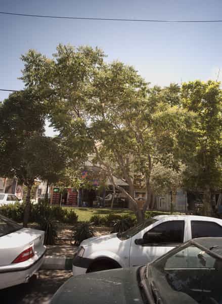 عکس ارتباط با ایرانسل در محمد آباد مشهد