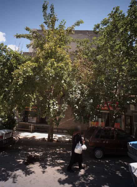 عکس نان لواش در آب و برق مشهد