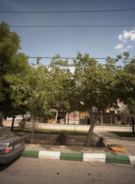 عکس موبایل مجتبی در محمد آباد مشهد